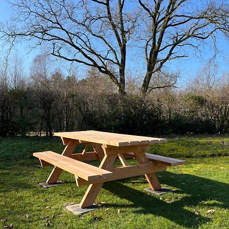 Vakantiehuis Eikzicht Gelegen Aan Het Bos Elsloo  Eksteriør bilde