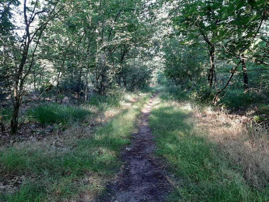 Vakantiehuis Eikzicht Gelegen Aan Het Bos Elsloo  Eksteriør bilde