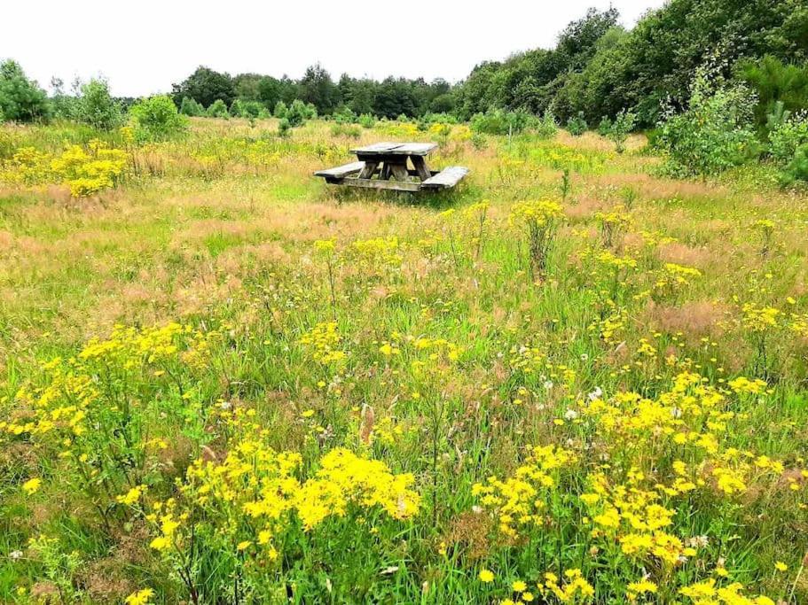Vakantiehuis Eikzicht Gelegen Aan Het Bos Elsloo  Eksteriør bilde