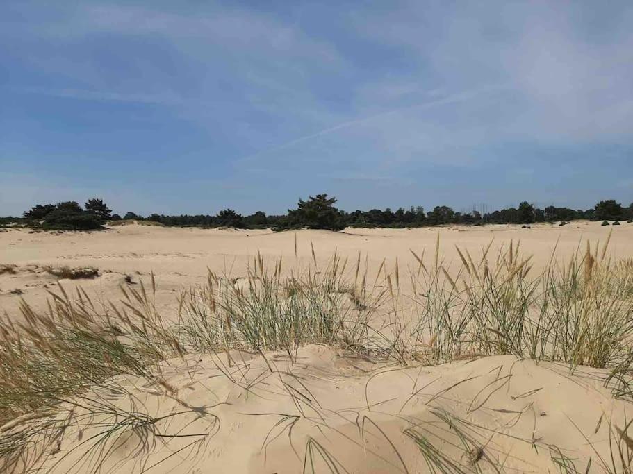 Vakantiehuis Eikzicht Gelegen Aan Het Bos Elsloo  Eksteriør bilde